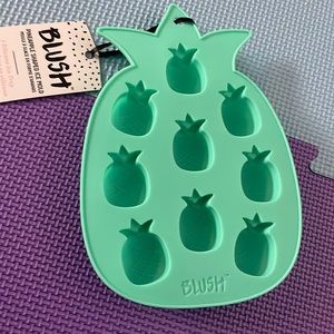 🟠 Blush Pineapple Ice Mold